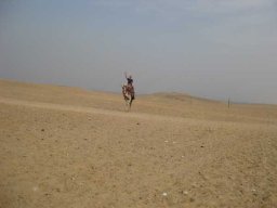 Massawa-Suez-Cyril 349